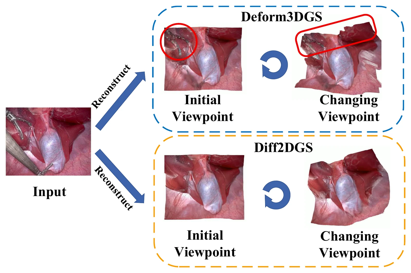 Input surgical frame and comparison between Deform3DGS and Diff2DGS from initial and changed viewpoints